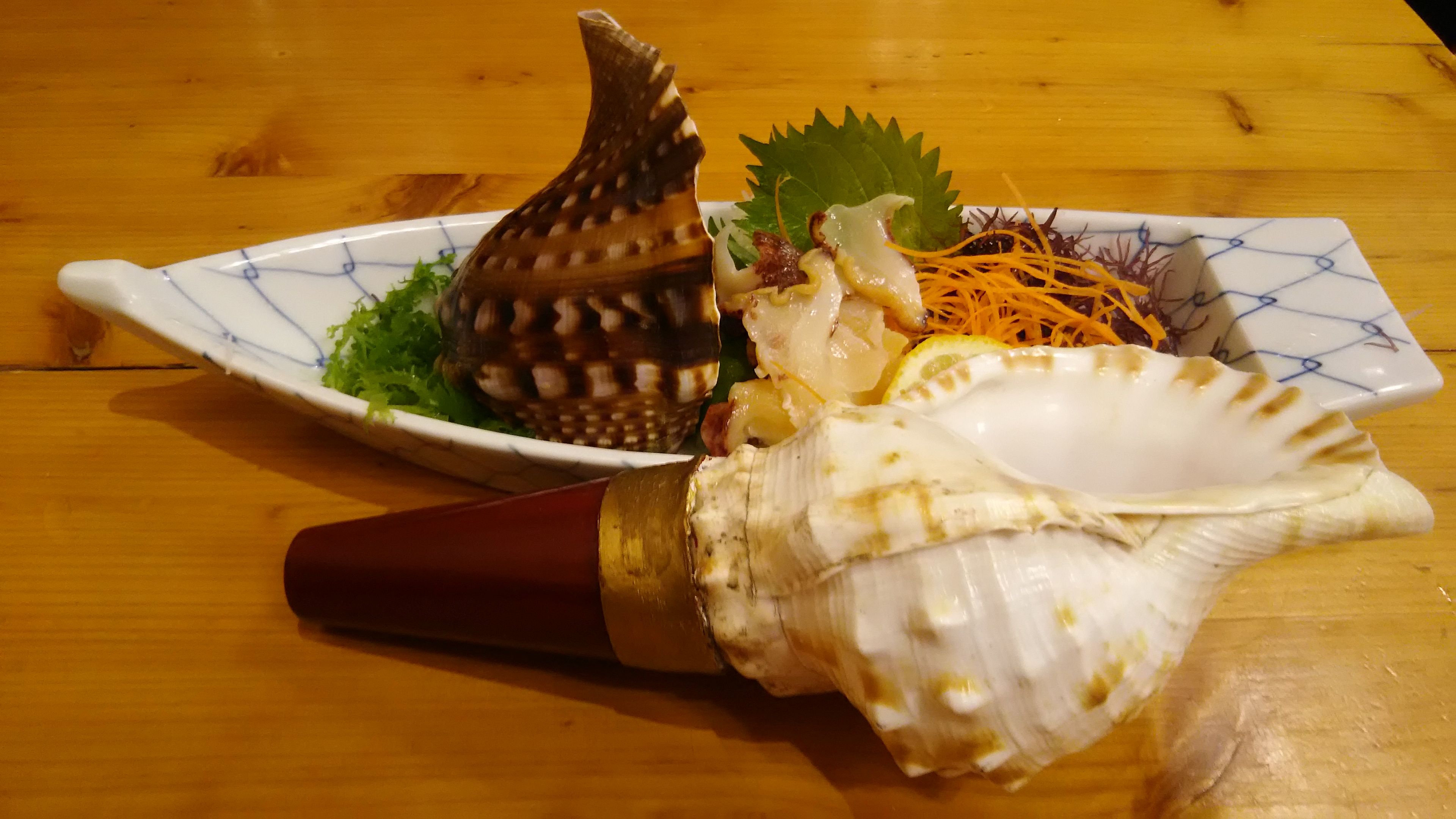 でっ カイ 貝 を探して